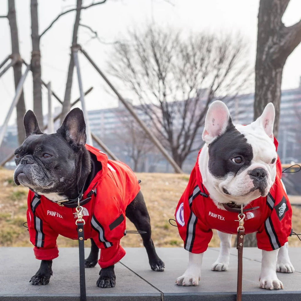 Pet Dog Waterproof Coat Dog Raincoat Reflective Dog Outdoor Clothes Hooded Jacket for Small Medium Large Dog Pet Supplies