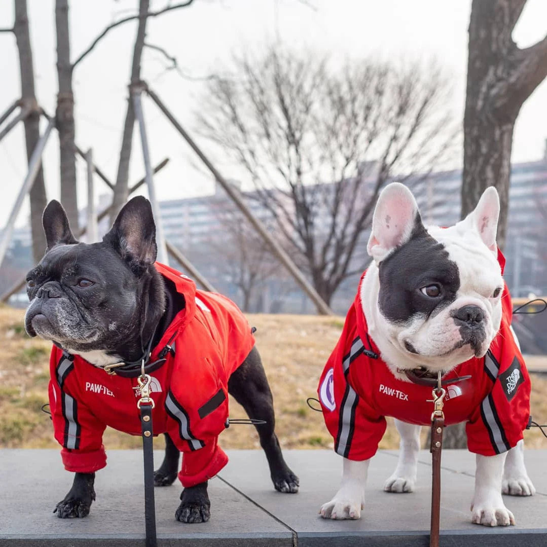 Pet Dog Waterproof Coat Dog Raincoat Reflective Dog Outdoor Clothes Hooded Jacket for Small Medium Large Dog Pet Supplies