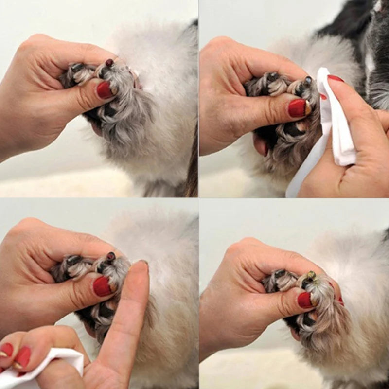 Pets Styptic Powder Safe For Dogs Cats Blood Stopper Home Profession Aids Traumatic Hemostatic Powder Pets-Care Supplies