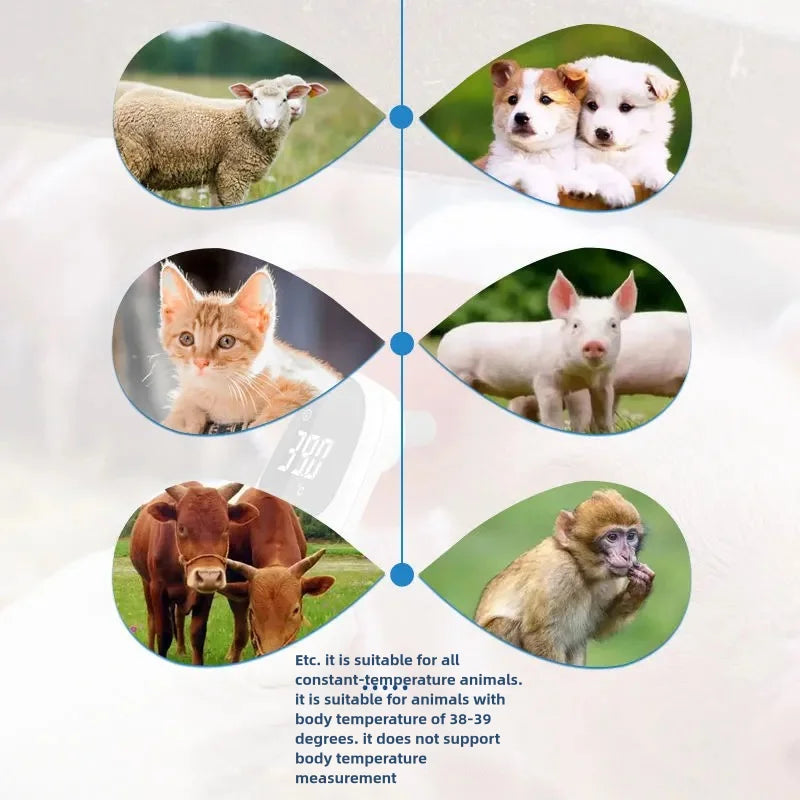 Pet Dog Cat Ear Digital Thermometers Animal Measuring Non-Contact Electronic Highly Accurate Pet Supplies veterinaria accesorios