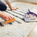 1pc Multifunctional Portable Pet Hair Carpet Scraper Mini Easy Grip Cat Dog Hair Scraper Carpet Scraper Couch Home Supplies